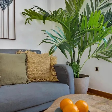 Soho - Playa - Centro Apartment *